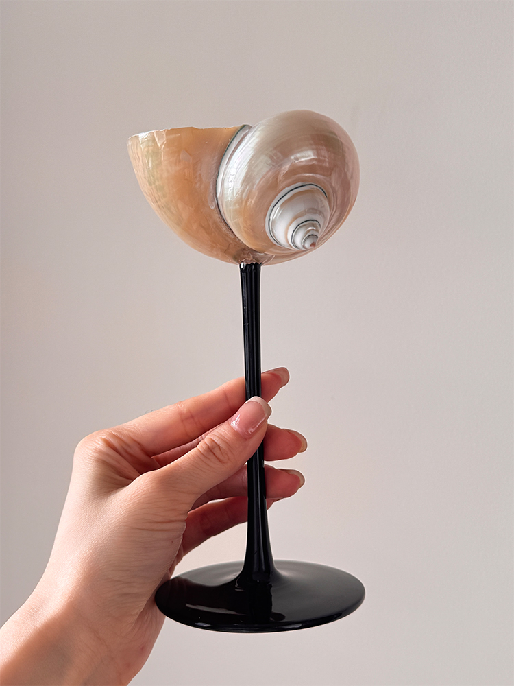 Natural Conch Shell Champagne  - đánh giá và giá Home Bar Set